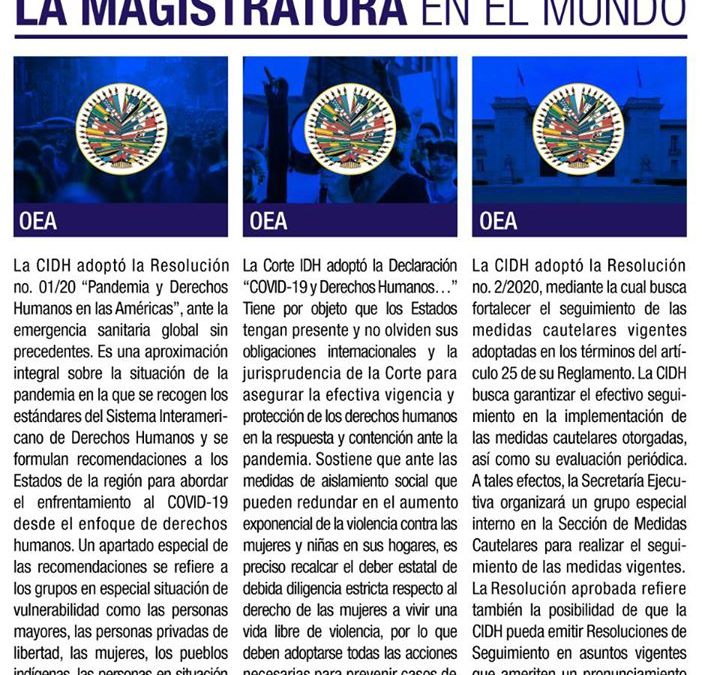 Reporte sobre la Magistratura en el MUNDO.